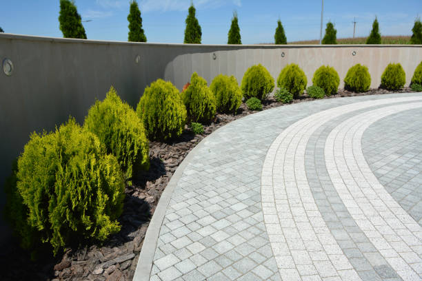 Reasons to Select Us for Your Driveway Paving Requirements in Prospect Heights, IL